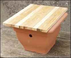 Bees for Free, collecting bee swarm, homesteading, homestead, homestead.org