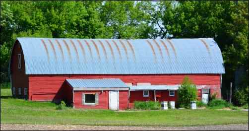 health benefits of Raw Milk, homesteading
