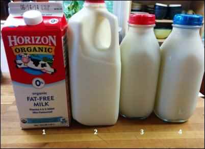 homemade cheese from pasteurized milk