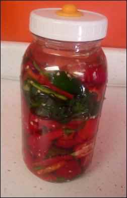 homemade kimchi A Guide for the Fledgling Fermenter Fermenting for Beginners