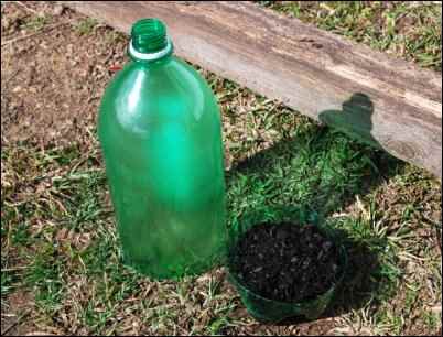 Four-season Gardening