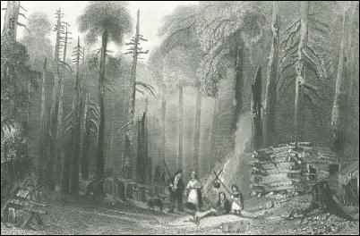 History of American Homesteading