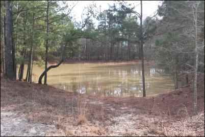 Prescribed Burns to Prevent Wildfires, homesteading, homestead