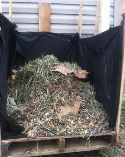 Homesteading for Renters