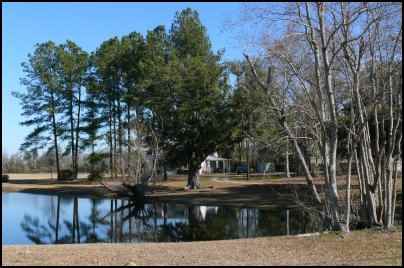 Building Multi-use Ponds on the Homestead, Where Should a New Pond Go, Benefits of a Multi-use Pond, what fish should be stocked in a pond, multi use pond, homesteading