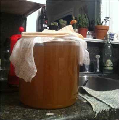 Homesteading for Renters