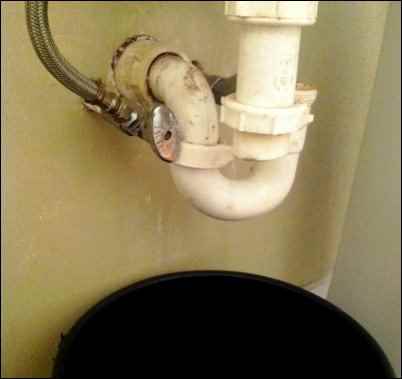 Homesteading for Renters