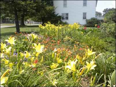 The Budget newspaper, Amish newspaper, homesteading