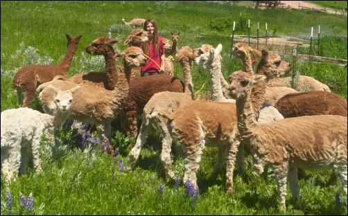 single parent homesteading