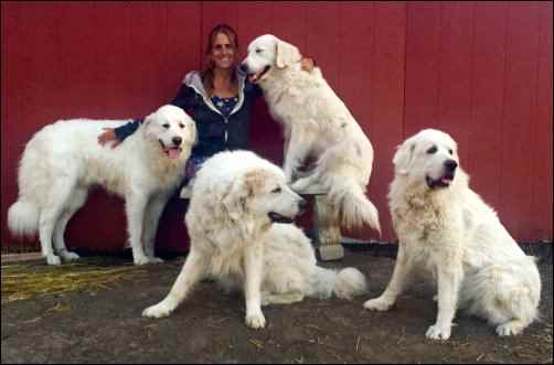 single parent homesteading