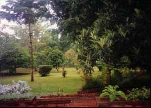 sustainable agriculture