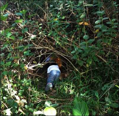 Homesteading in the Philippines