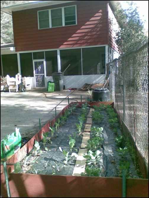 My Homesteading Adventure Begins