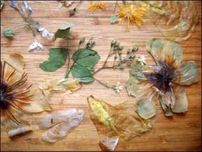 making soap, making paper,, pressing flowers, avoiding homestead burnout, homesteading burnout