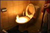 homesteader vs survivalist