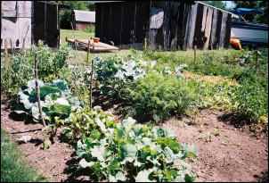 sustainable agriculture