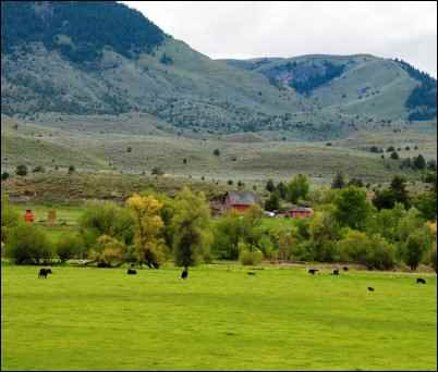 Homesteading vs. Smallholding