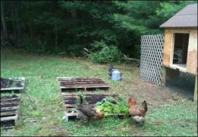 Bungalow into a Farmhouse