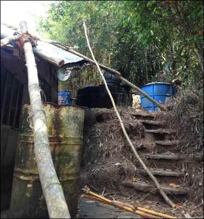 Homesteading in the Philippines