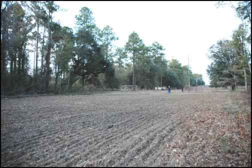 My Homesteading Adventure Begins