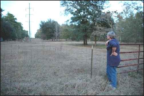 My Homesteading Adventure Begins