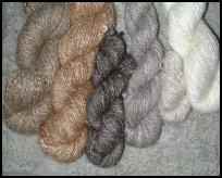 Raising Angora Rabbits: The Wool Industry’s Pride and Joy