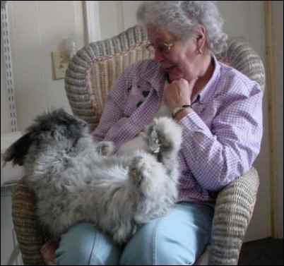 raising angora rabbits for fur