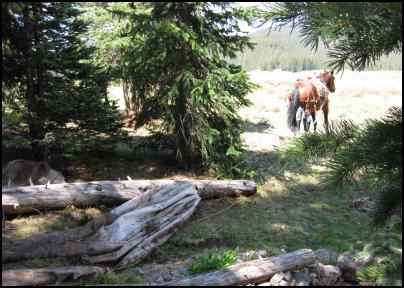 Using Horses to Pull, Using workhorses, horse power