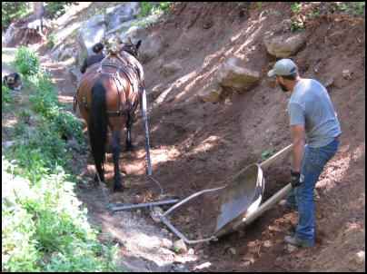 Using Horses to Pull, Using workhorses, horse power