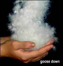 goose down