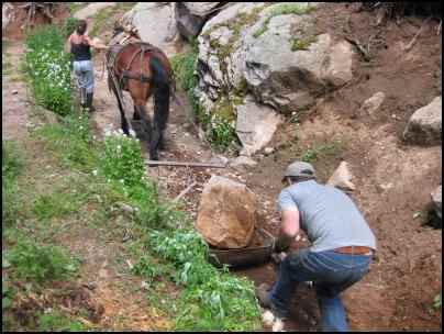 Using Horses to Pull, Using workhorses, horse power