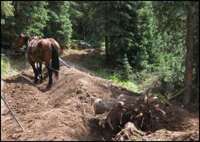 Using Horses to Pull, Using workhorses, horse power