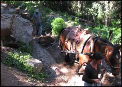 Using Horses to Pull, Using workhorses, horse power