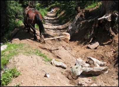 Using Horses to Pull, Using workhorses, horse power