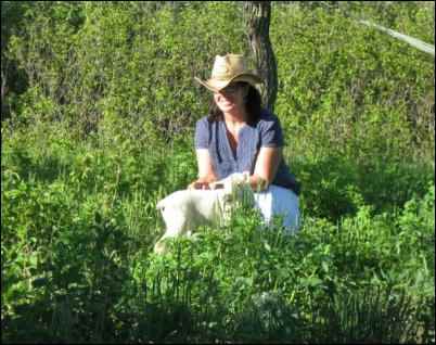 Uncertain Shepherdess, learning shepherding, sheep, lambs, keeping sheep