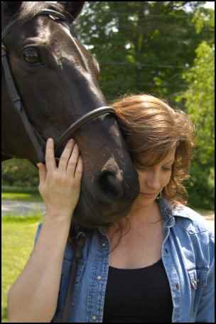 adopting rescue horses