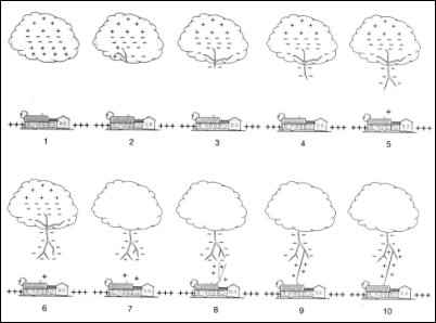 Charge Distribution Immediately Before a Lightning Strike (from The Complete Weather Source Vol.2)
