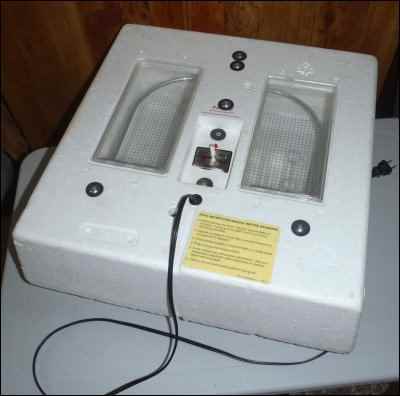Hatching Chicks With an Incubator, Hatching eggs With an Incubator, homesteading, homestead, chickens