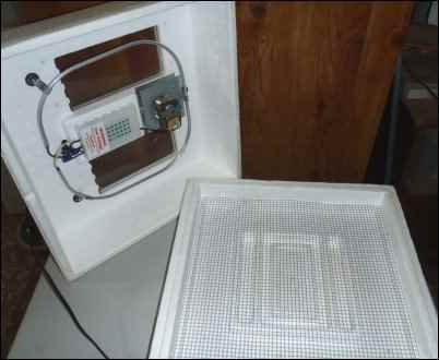 This one has a fan kit installed, just inside the heating element on the right-hand side of the lid. Through the screen, you can see the 3 water channels in the bottom, rectangular in the center, and a straight groove on either side of that.