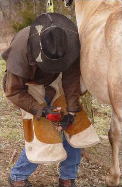 farrier Self-employment for Homesteaders