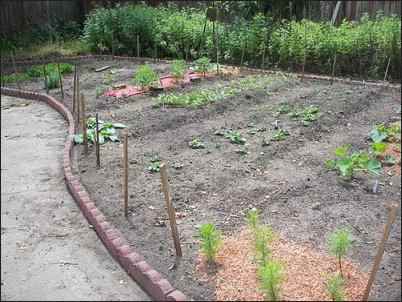 Inside a Sharecropper's Garden: Growing Food in the Inner-city