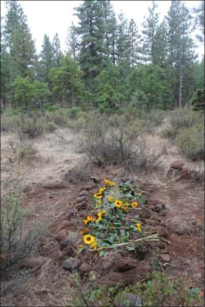 green burial cemetery