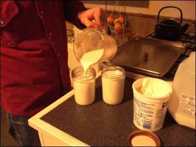 make yogurt
