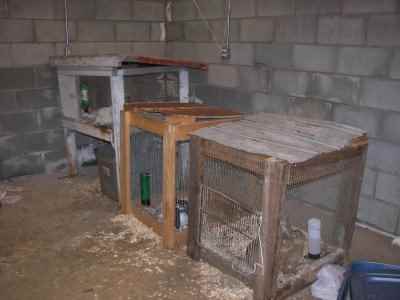 Challenges of Urban Homesteading