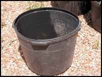 container gardening, homesteading