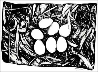 Trials and Travails of a New Homesteader