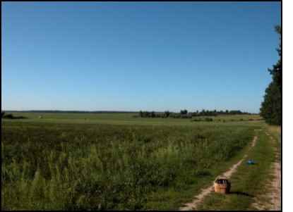 Homestead.org in the Former Soviet Union, homesteading in Russia