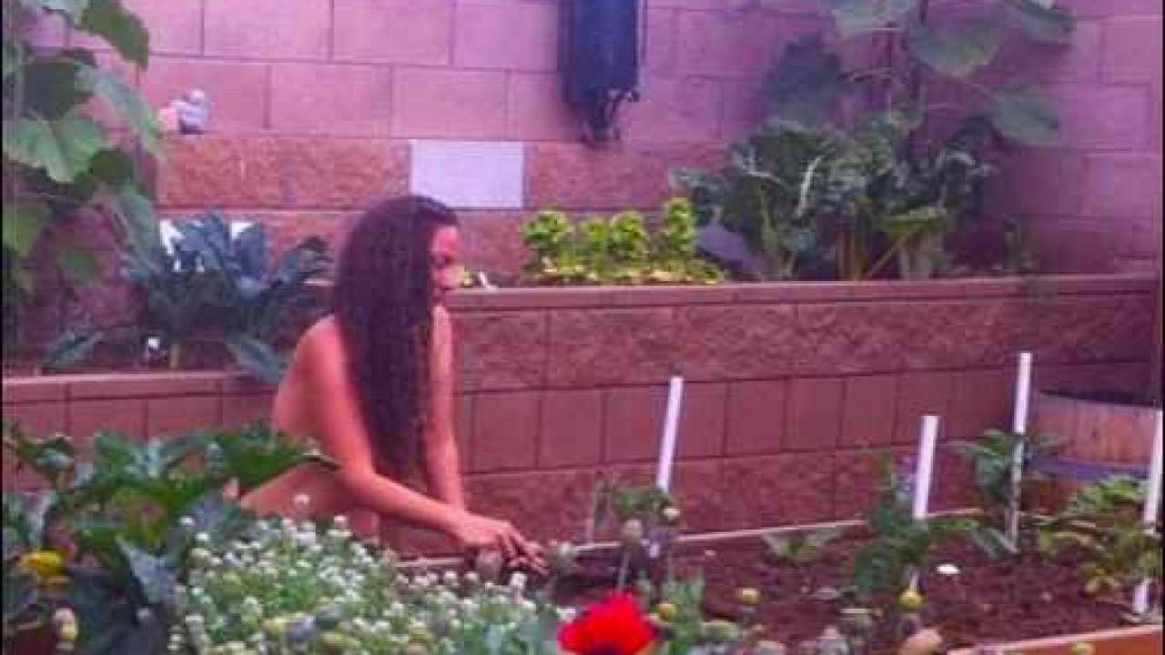 Naked Gardening Exposed Homestead Org